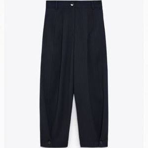 NWT Zara pants